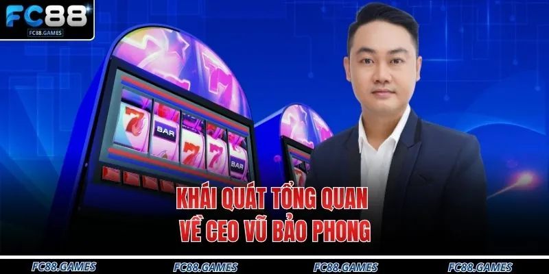 Khái quát tổng quan về CEO Vũ Bảo Phong
